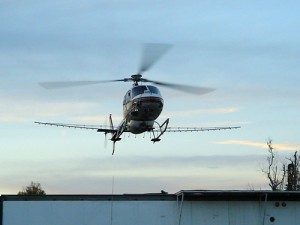 Vegetation Control